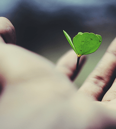 Growth & evolution in the services sector